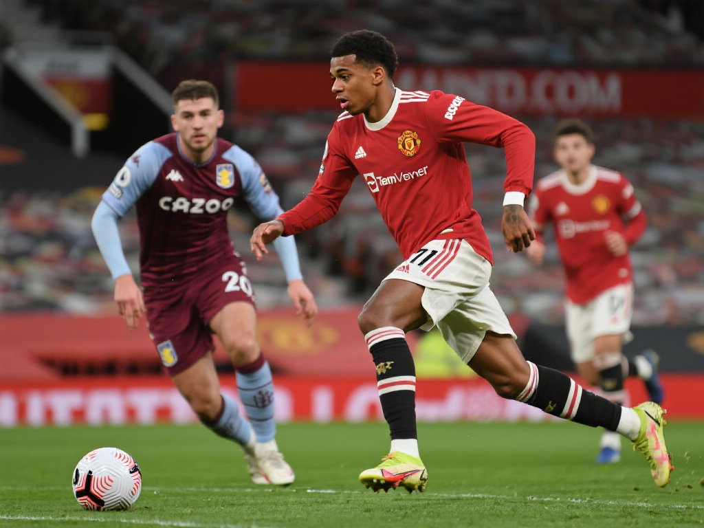 或许才是对 或许才是对